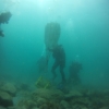 Combat Diver Course May 2015_040